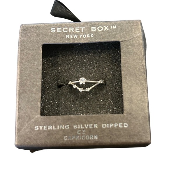 Secret Box New York Jewelry - Secret Box NY Sterling Silver CZ Capricorn Zodiac Earrings NIB Gift Box